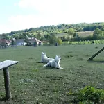 Waldhof