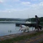 Waldhof *
