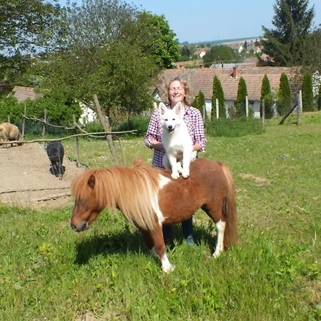 Waldhof Holiday home