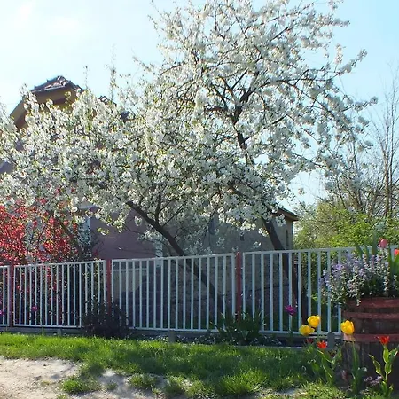 Waldhof Holiday home *