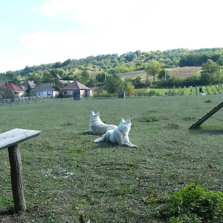 Holiday home Waldhof *