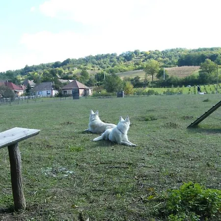 Waldhof