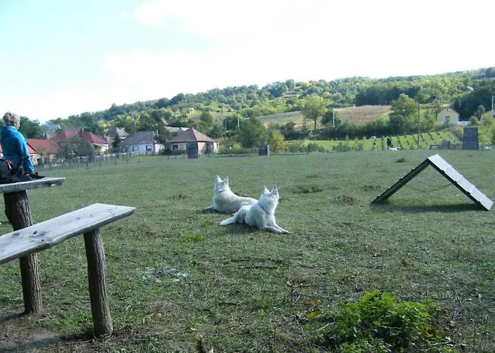 Waldhof